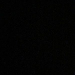 Meet your Posher, Laila